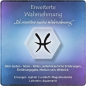Preview: "Erweiterte Wahrnehmungen" Edelsteinessenz